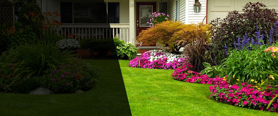 Gainesville Landscapers